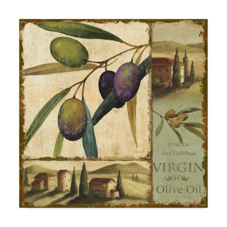 Lisa Audit 'Tuscan Delight II' Canvas Art,35x35
